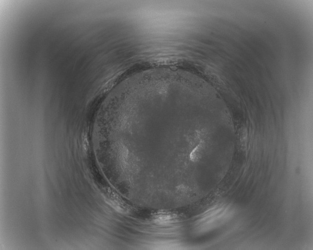 X0000066970746200603311448