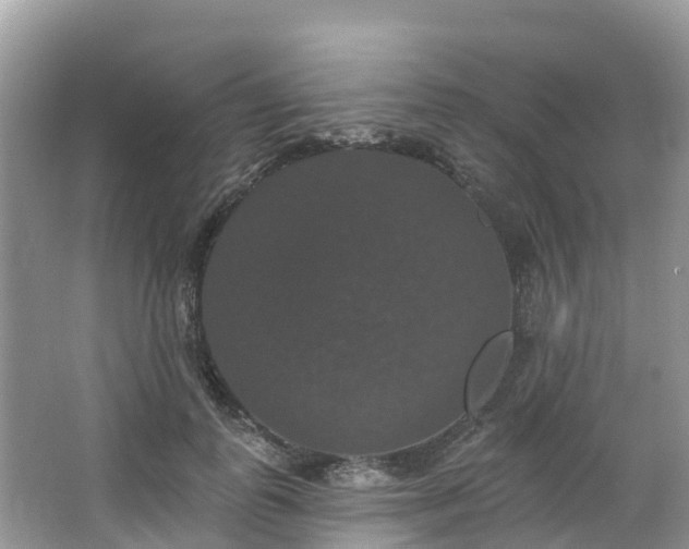 X0000066970747200603311449