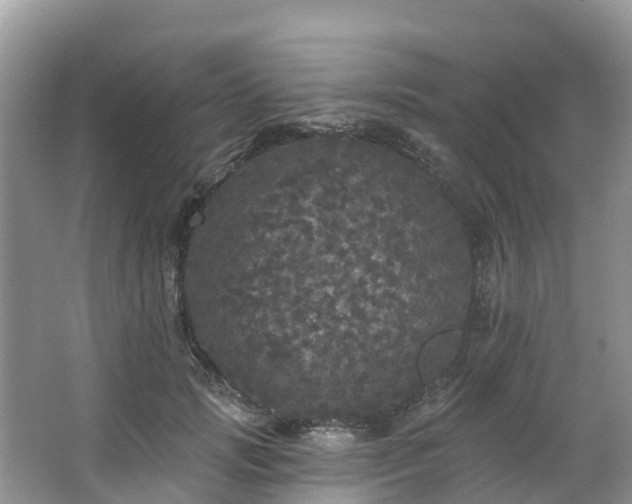 X0000066970749200603311449