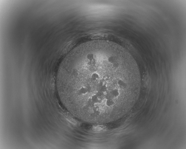 X0000066970753200603311449