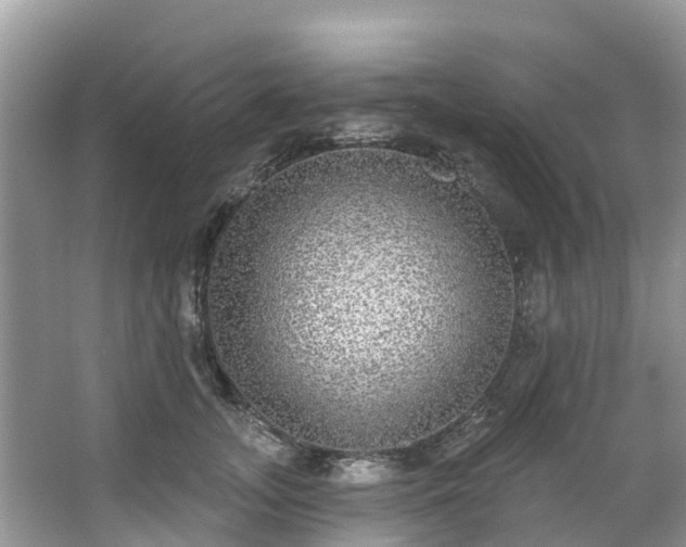 X0000066970755200603311449