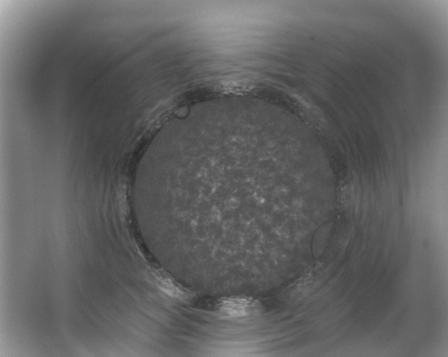 X0000066970757200603311449