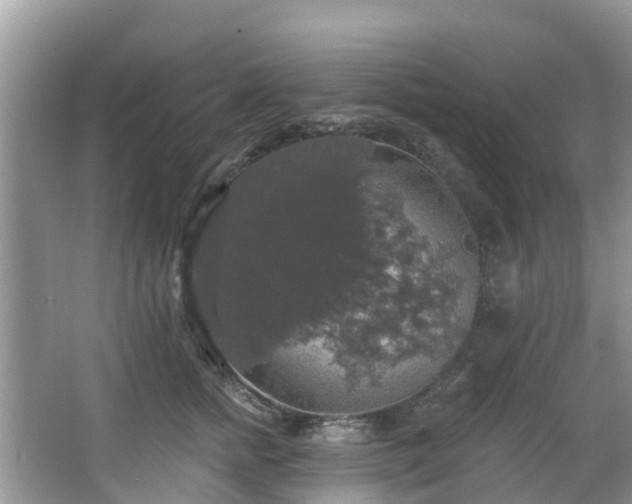 X0000066970758200603311449