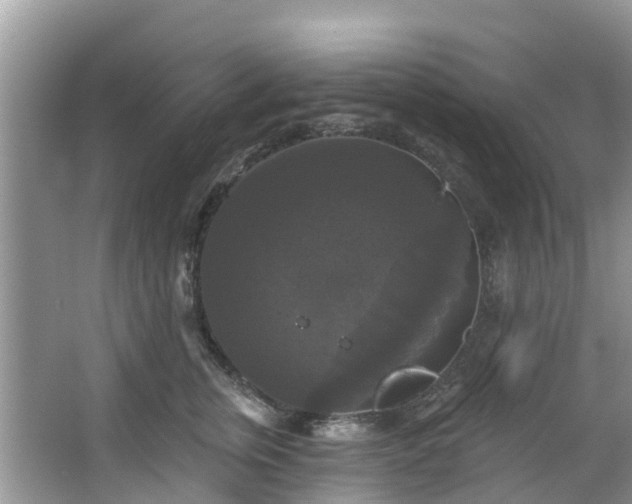 X0000066970759200603311449