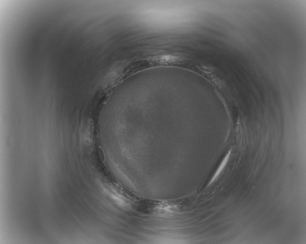 X0000066970760200603311449