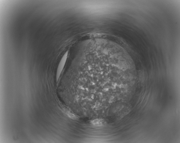 X0000066970761200603311449