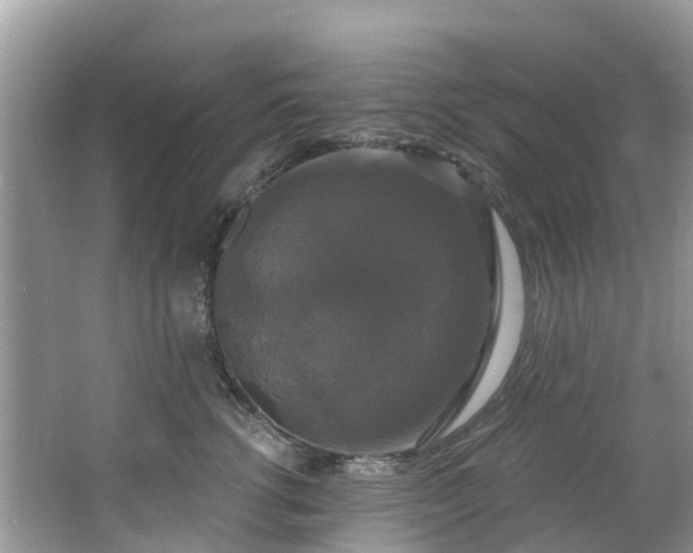 X0000066970762200603311449