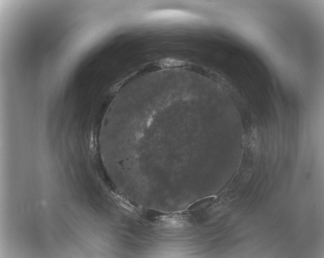 X0000066970763200603311449