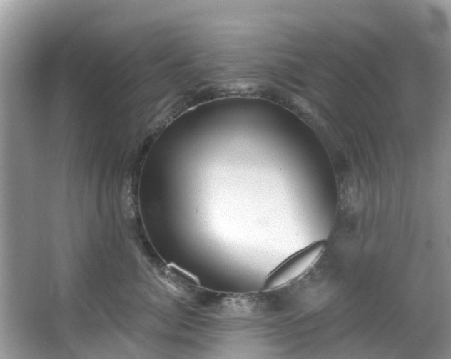 X0000066970764200603311449