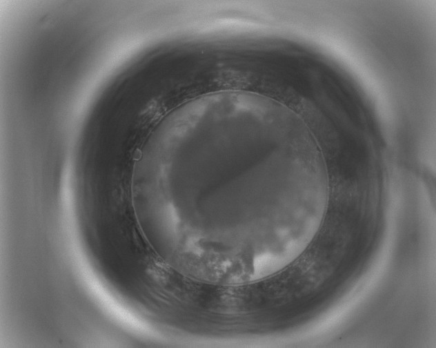 X0000066970765200603311449