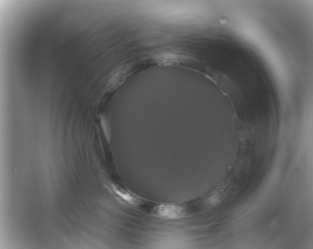 X0000066970766200603311449