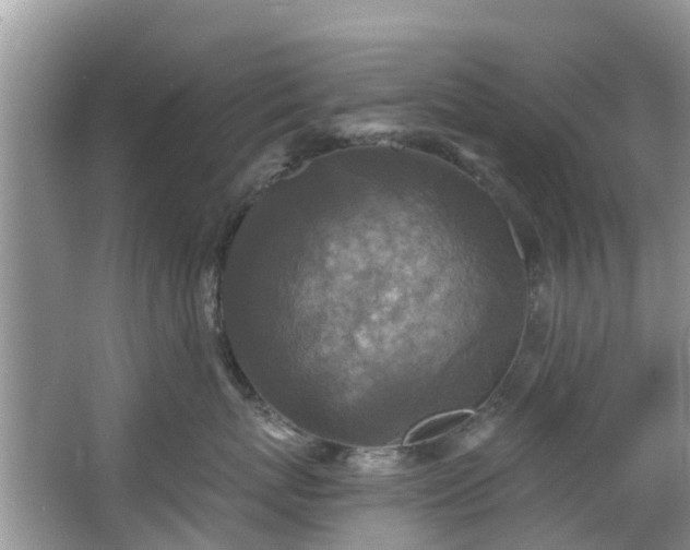 X0000066970767200603311449