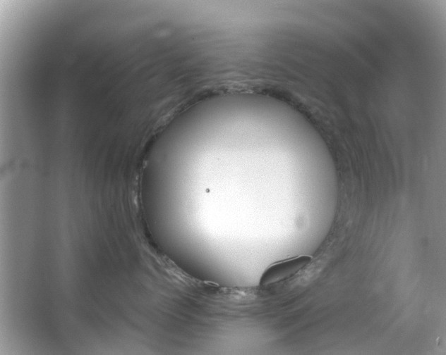 X0000066970768200603311449