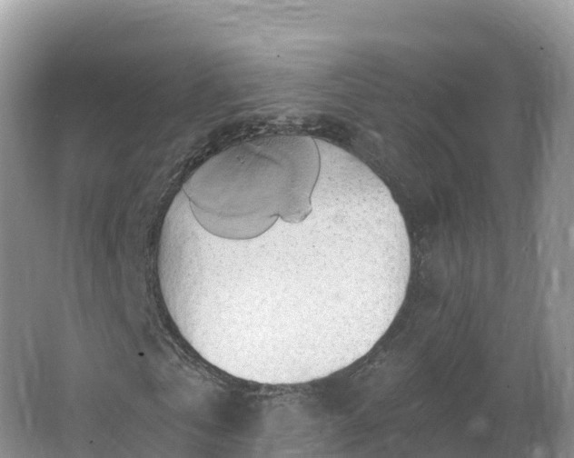 X0000066970769200603311448