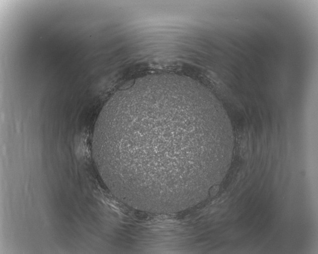 X0000066970770200603311448