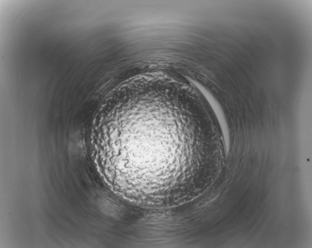 X0000066970771200603311448