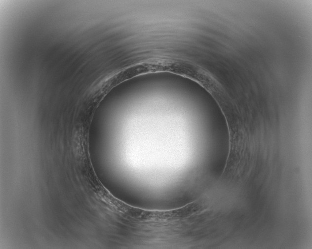 X0000066970773200603311448