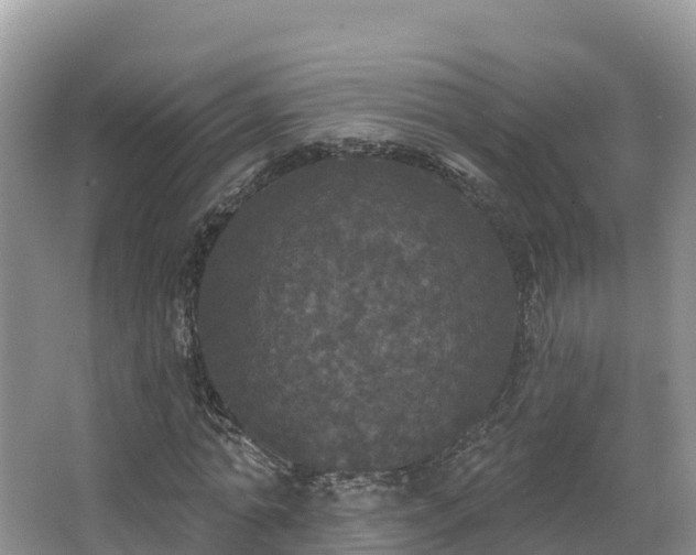 X0000066970774200603311448