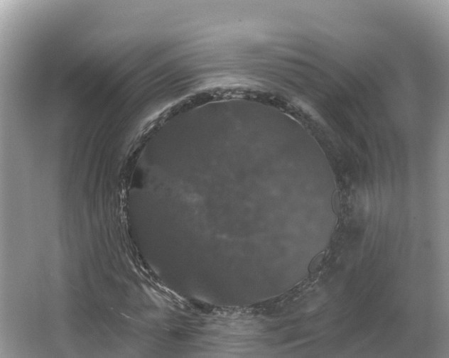 X0000066970775200603311448