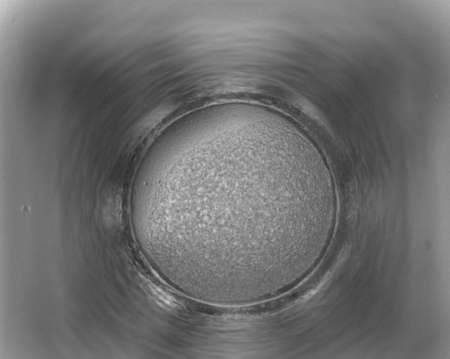 X0000066970777200603311448