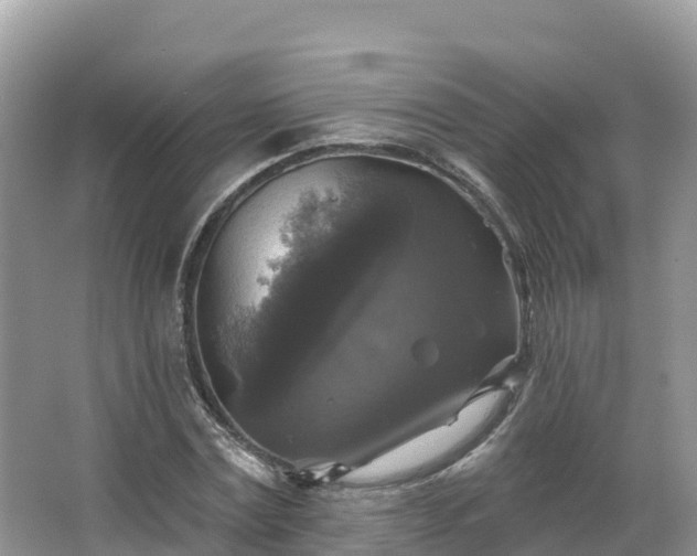 X0000066970779200603311448