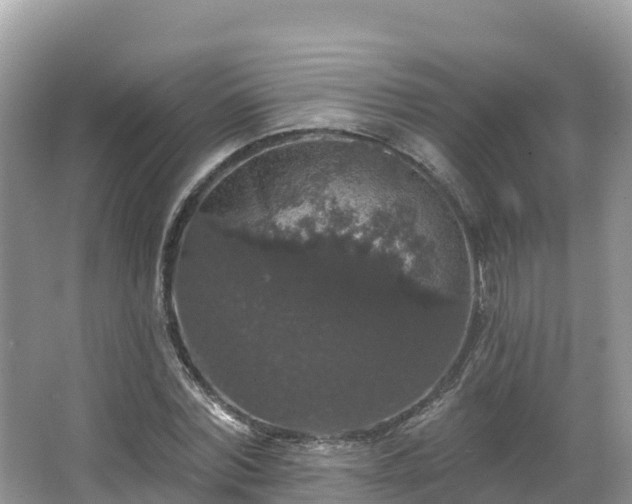 X0000066970780200603311448