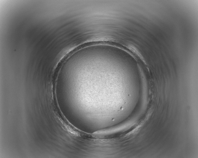 X0000066970781200603311448