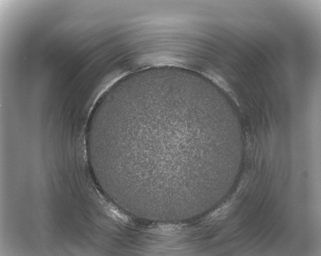 X0000066970782200603311448