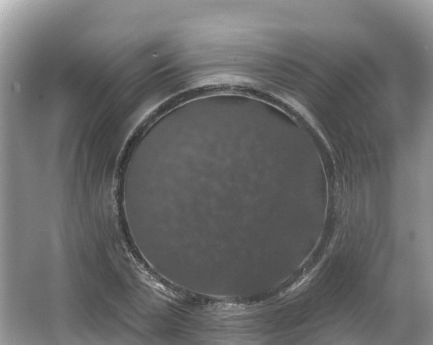 X0000066970783200603311448