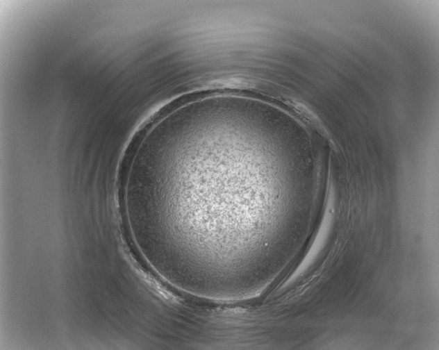 X0000066970784200603311448