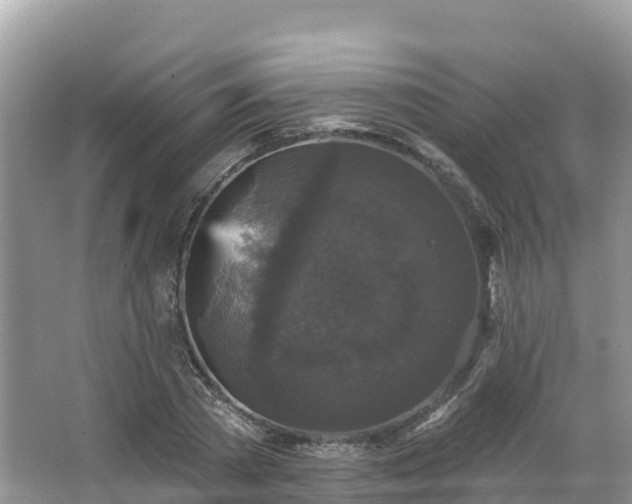 X0000066970785200603311448