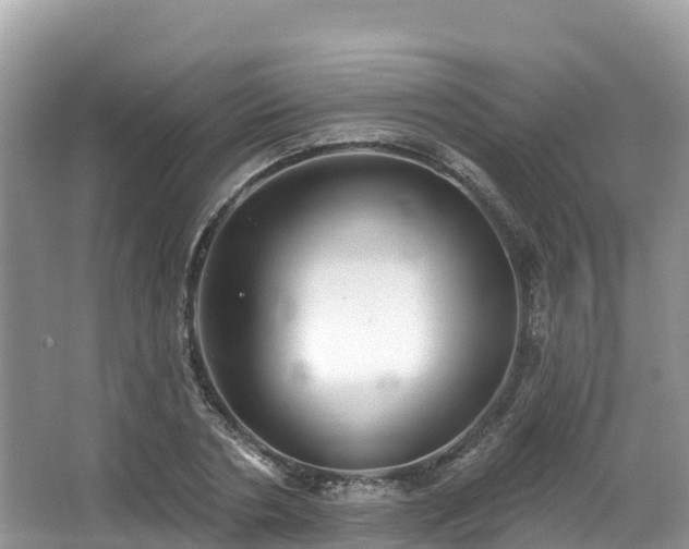 X0000066970786200603311448