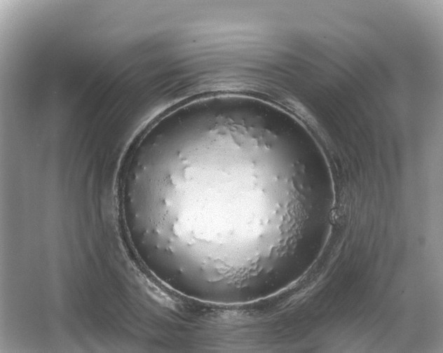 X0000066970787200603311448