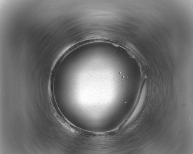 X0000066970788200603311448