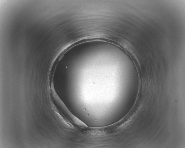 X0000066970789200603311448