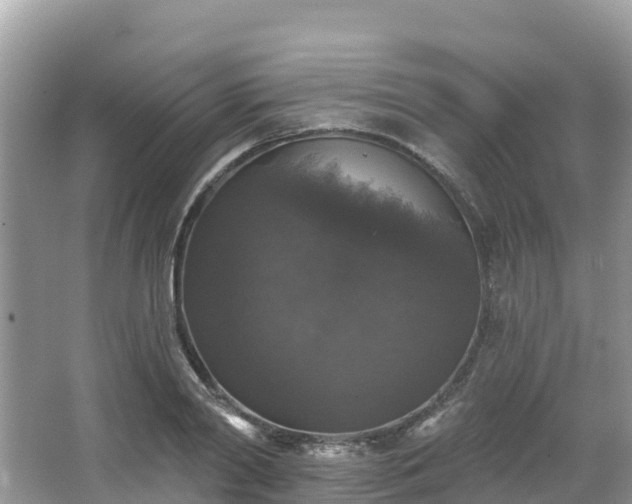 X0000066970790200603311448