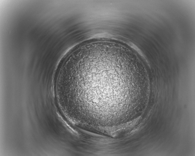 X0000066970791200603311448