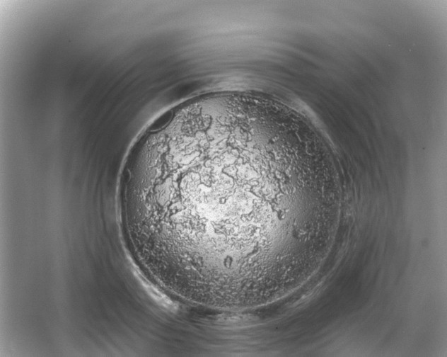 X0000066970795200603311448