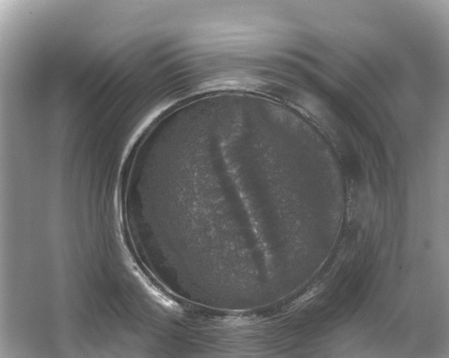 X0000066970796200603311448