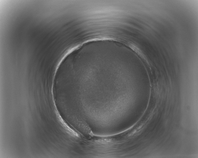 X0000066970797200603311448