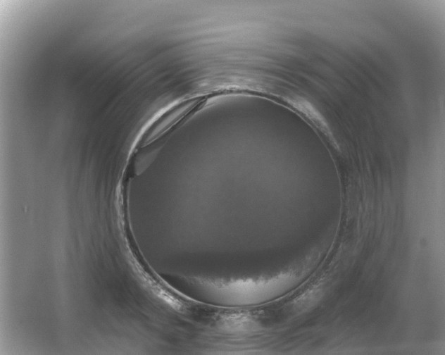 X0000066970798200603311448