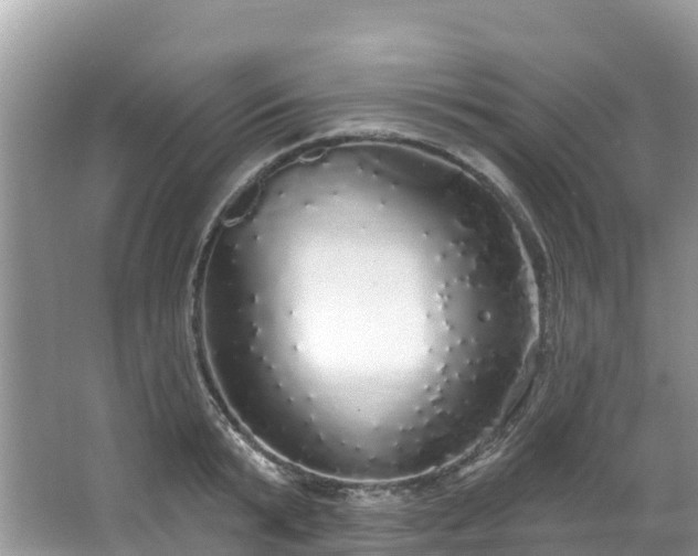 X0000066970799200603311448