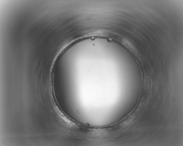 X0000066970800200603311448