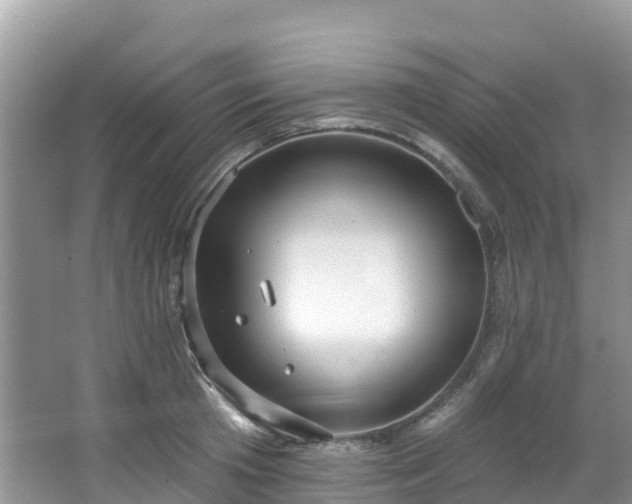 X0000066970801200603311448