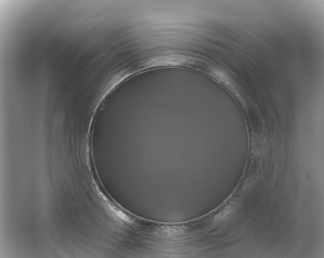 X0000066970802200603311448