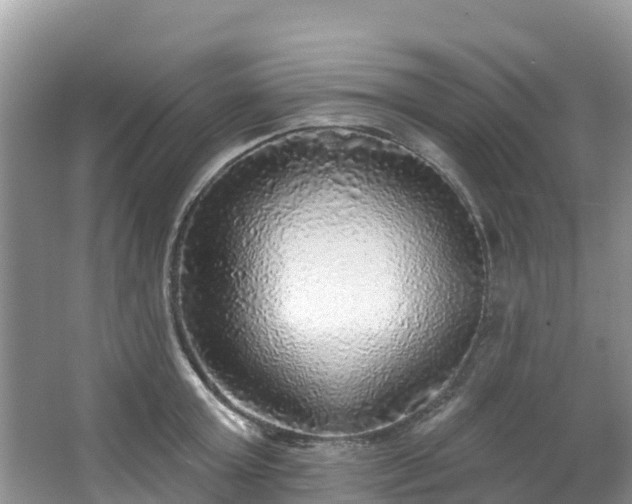 X0000066970803200603311447