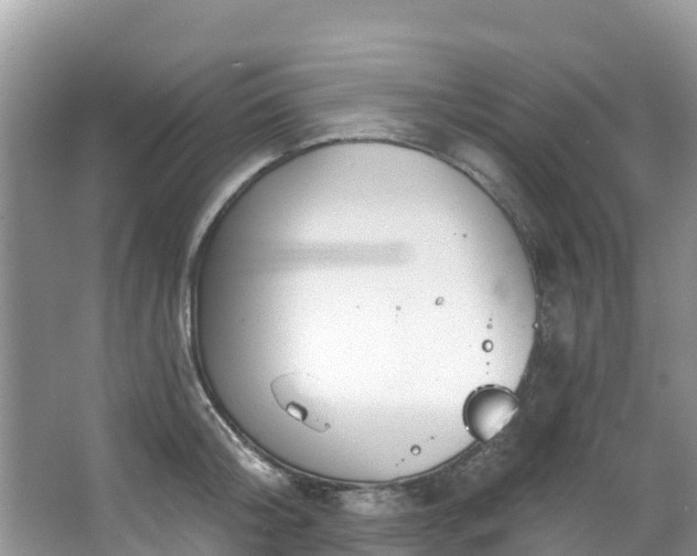 X0000066970804200603311447