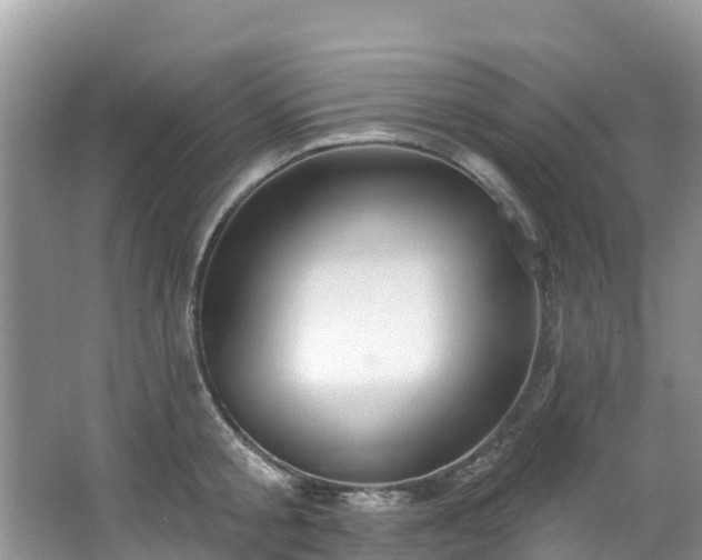 X0000066970805200603311447