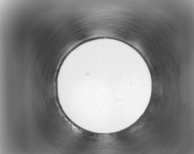 X0000066970807200603311447