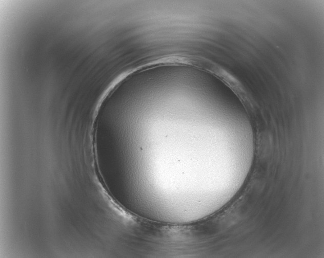 X0000066970808200603311447